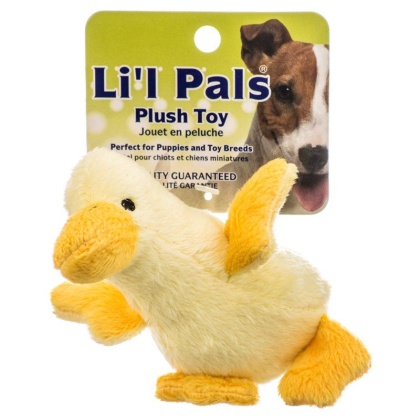 Lil Pals Ultra Soft Plush Dog Toy - Duck