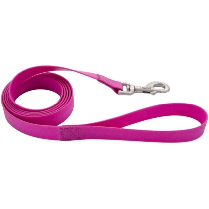 Coastal Pet Pro Waterproof Leash 3/4\