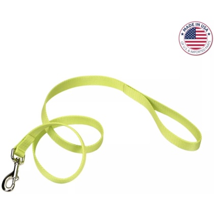 Coastal Pet Single-Ply Nylon Dog Leash Lime Green