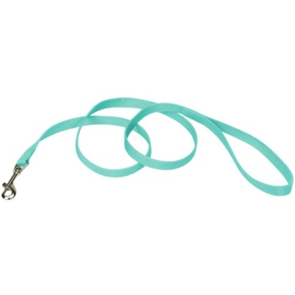 Coastal Pet Single-ply Teal Nylon Dog Lead