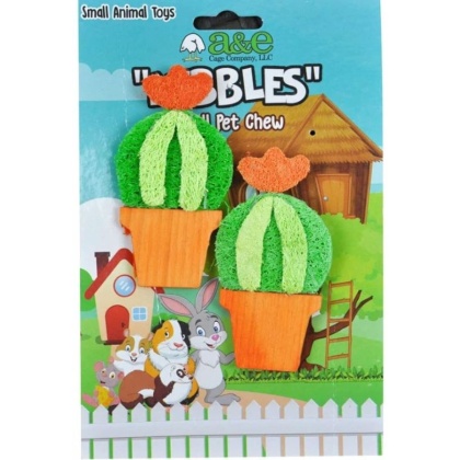 AE Cage Company Nibbles Barrel Cactus Loofah Chew Toy with Wood