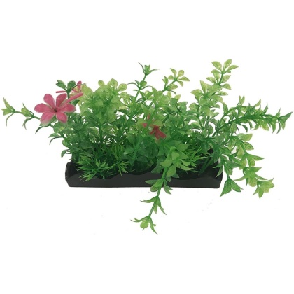 Penn Plax Green and Pink Bunch Plants Medium