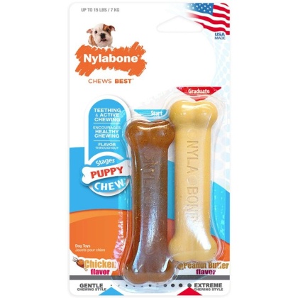 Nylabone Puppy Chew Petite Twin Pack - Chicken & Peanut Butter Nylon Chews