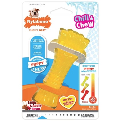 Nylabone Puppy Chew Color Changing Chill N Chew Bone - Mini Souper