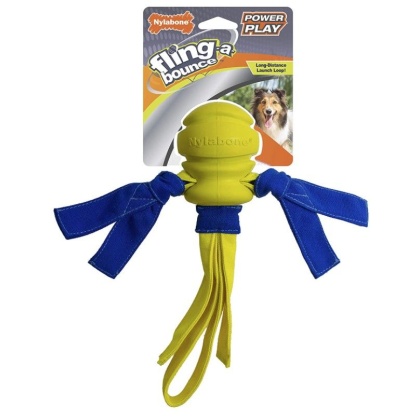 Nylabone Power Play Fling- a-Bounce Fetch 10