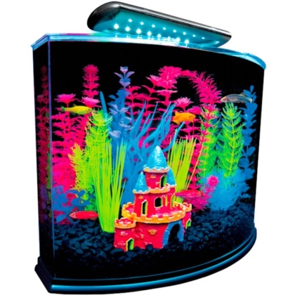 GloFish Aquarium Kit with LED Lighting