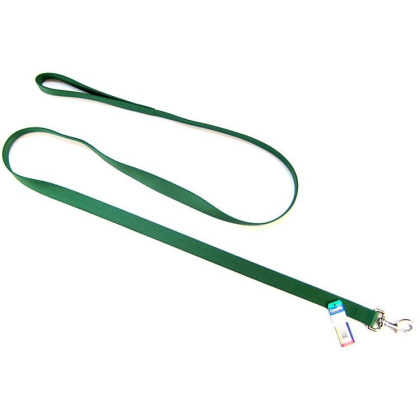 Coastal Pet Single Nylon Lead - Hunter Green
